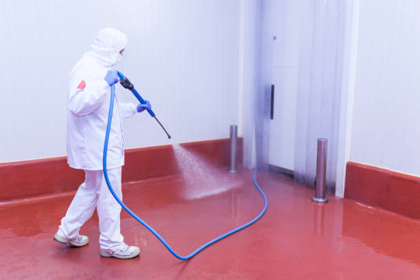 Best Rust Removal  in Grovetown, GA